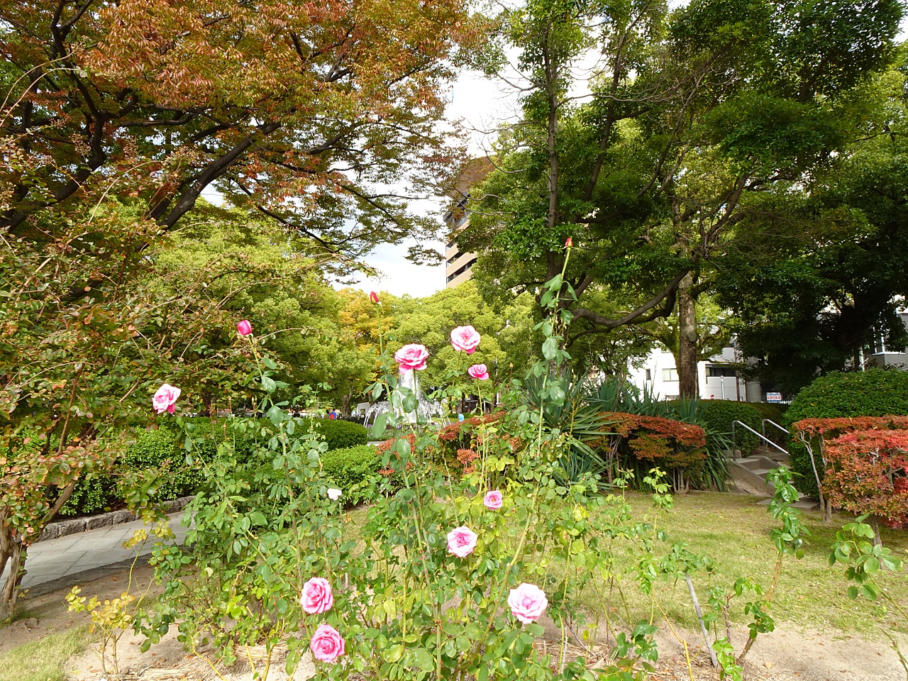 世界最輕巧，28 倍變焦的掌中長砲 Sony DSC-HX99 實拍評測