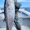 魚突き・スピアフィシング