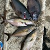 魚突き・スピアフィシング