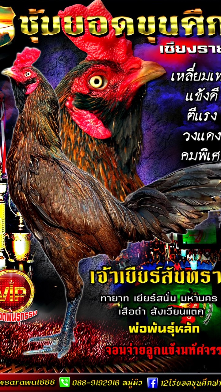 12ไร่ยอดขุนศึกฟาร์ม เชียงราย