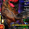 12ไร่ยอดขุนศึกฟาร์ม เชียงราย