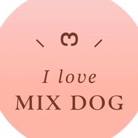 LOVE💗ミックス犬ちゃん⸜  ෆ‪  ‪⸝‍コミュニティ🐾