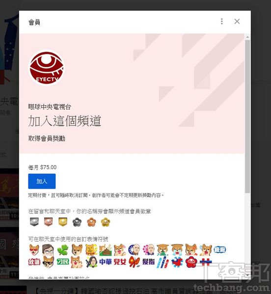頻道會員是由觀眾透過支付月費方式，經由訂閱喜歡的YouTuber，讓他們收到直接的贊助以製作更多優質影片。