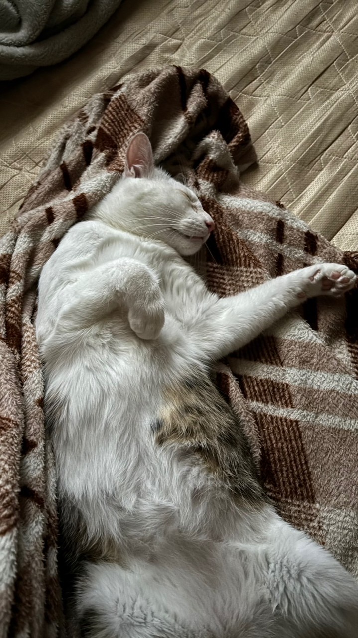 小海波及兜勾世城的淫亂屁眼派對