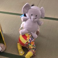 ［大阪府・堺市　子育てママ色んな情報交換】