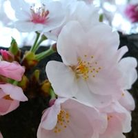 🍀看護師の美容お悩み相談🍀