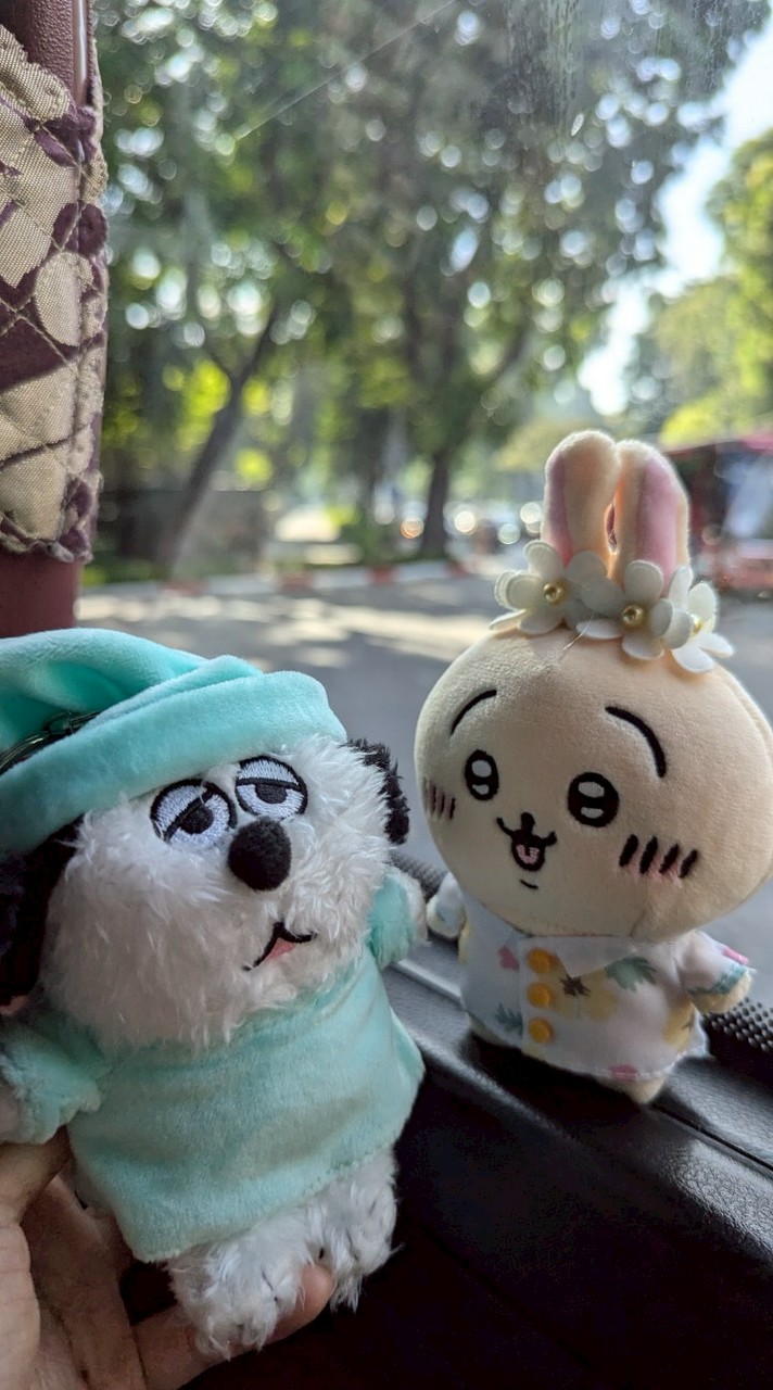 邊走邊買買買買買