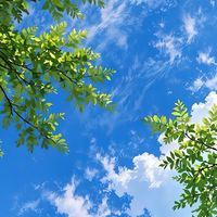 更年期障害について語ろ🌹女性のみ
