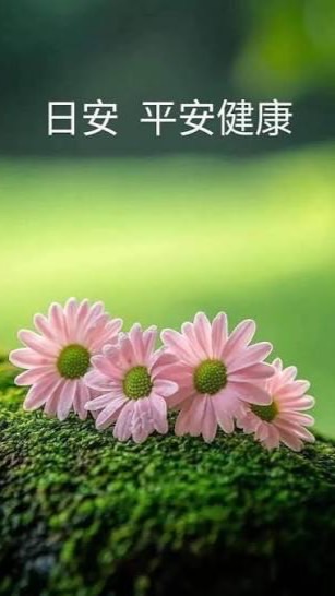 喜信據點