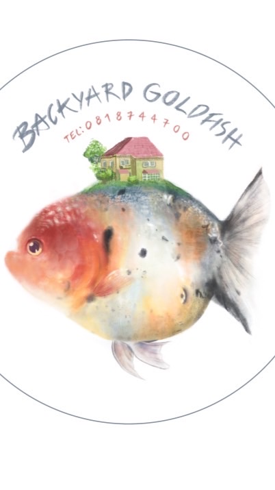 Backyard Goldfish