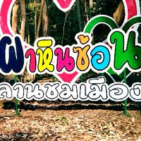 ปราจีนบุรี ท่าตูม 🚲  จักรยานสายชิววว