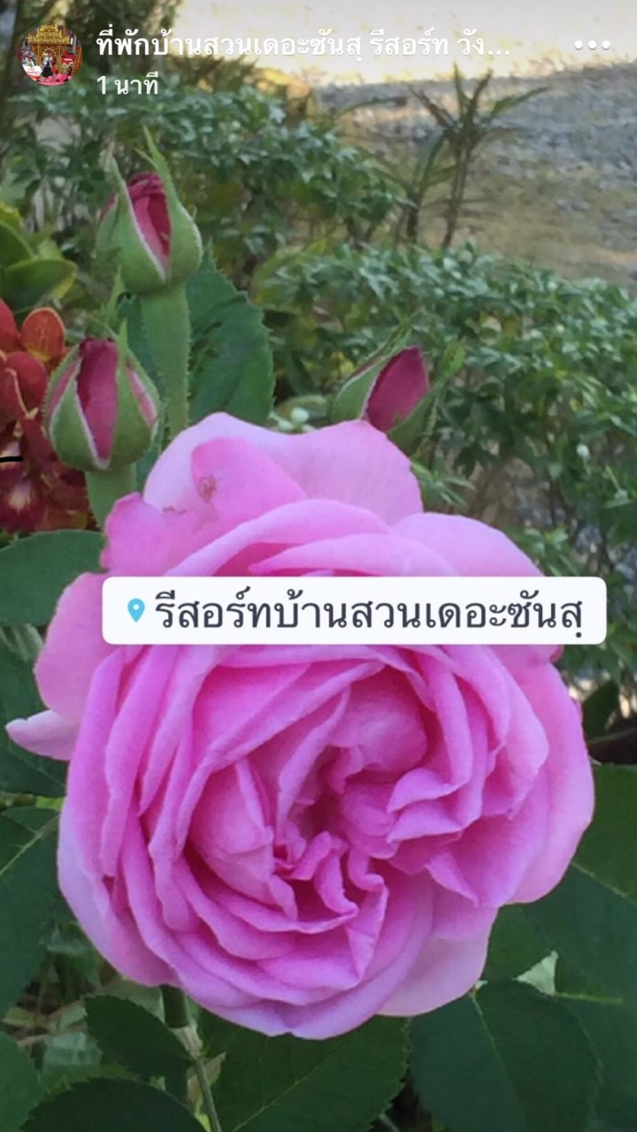 รีสอร์ทบ้านสวนเดอะซันสฺ
