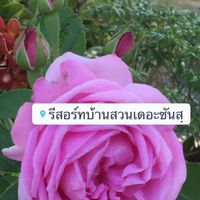 รีสอร์ทบ้านสวนเดอะซันสฺ