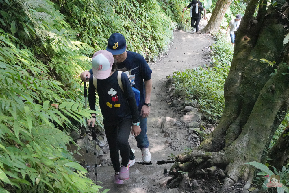 宜蘭.礁溪 臺灣的抹茶冰淇淋山，網美級小百岳仙境，挑戰聖母山莊步道，順收五峰旗瀑布