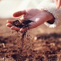 美容✖︎農業　IGROUNDプロジェクト👩‍🌾