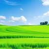 元辰宮駁杯籤詩討論區