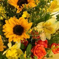 💎オトナだって踊っちゃおう💎仙台オトナダンスサークル💃