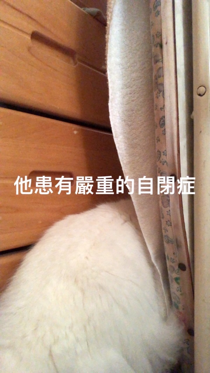 403同學