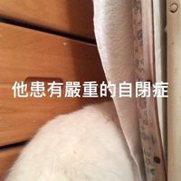 403同學