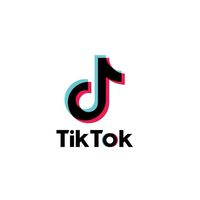 TikTok Seller