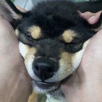 小藍和阿丹粉絲團