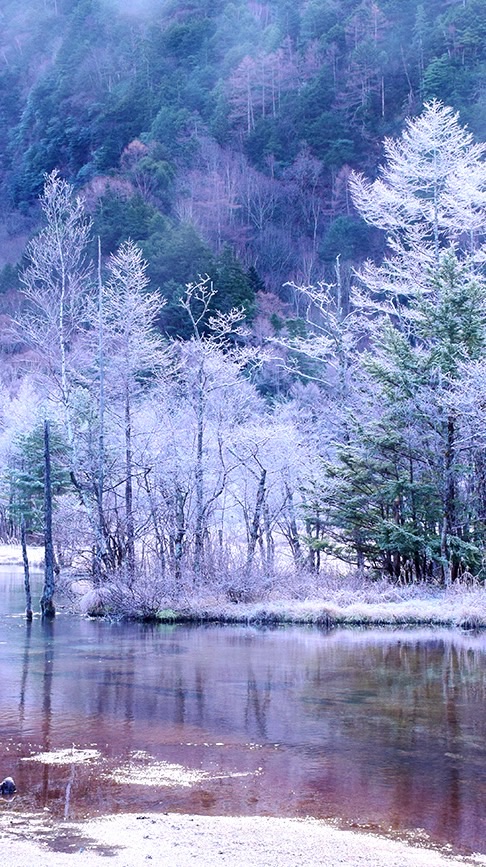 50+回不去的是從前，到不了的是遠方