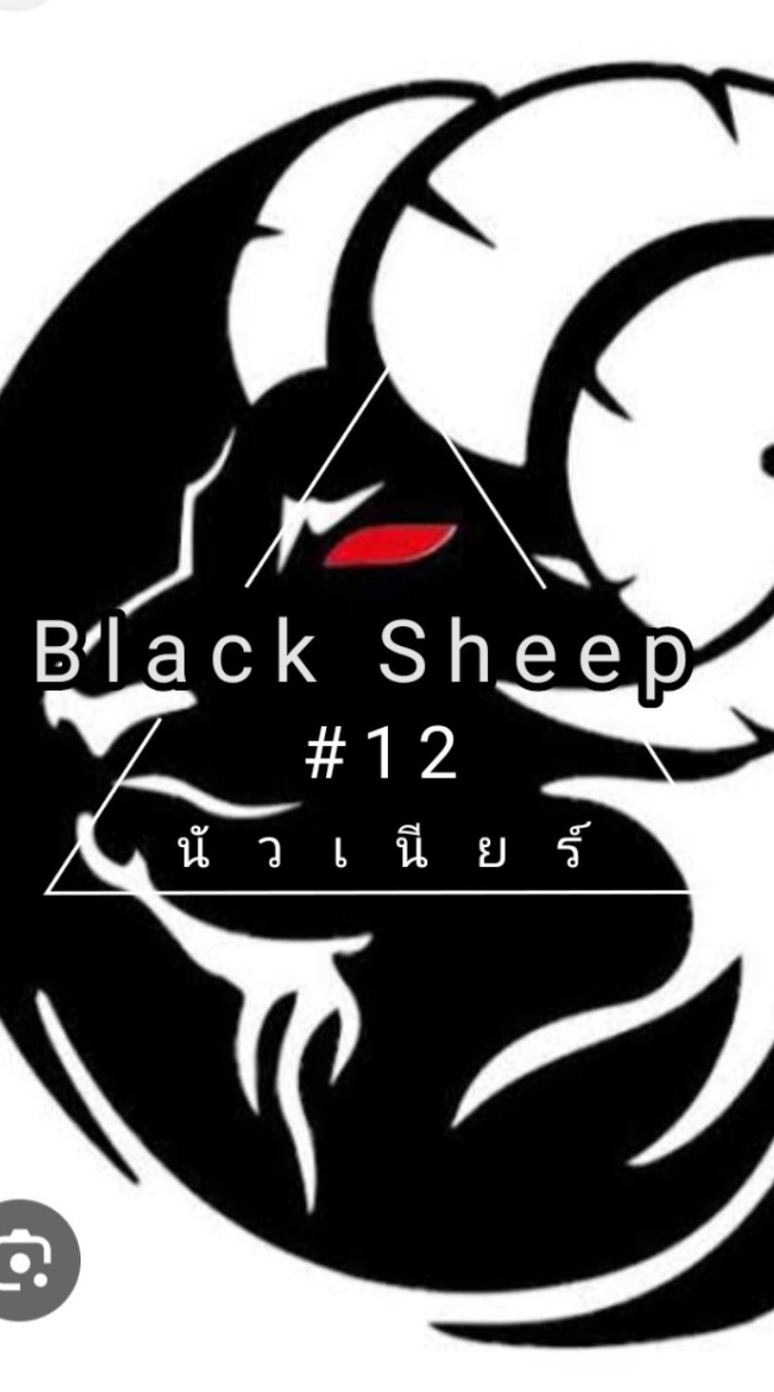 #12 Black Sheep 🐏
