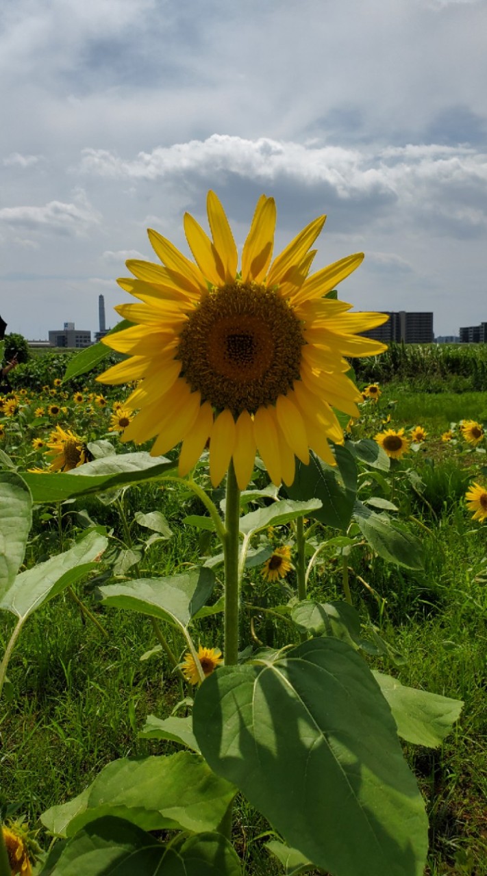 さいたま🍀人結び🤗🍀