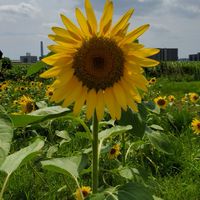 さいたま🍀人結び🤗🍀