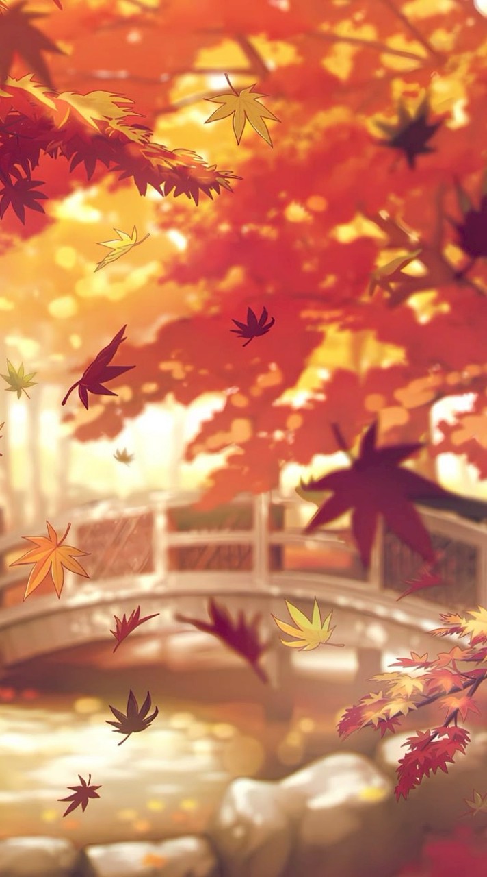 紅葉かつ散る 星月夜  :  緩也