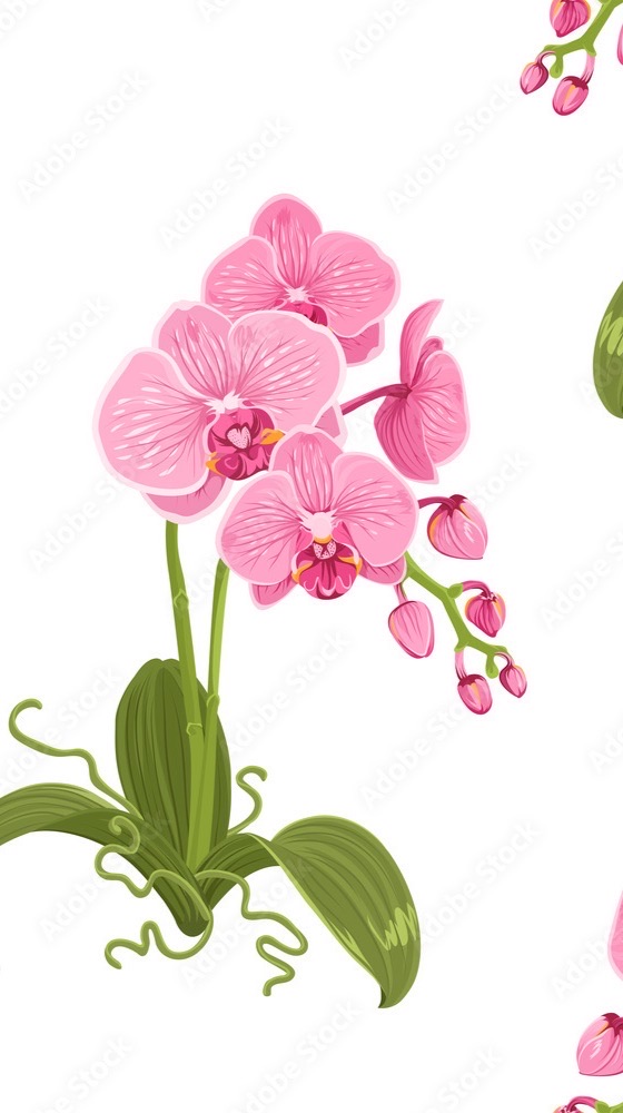 115蘭花班