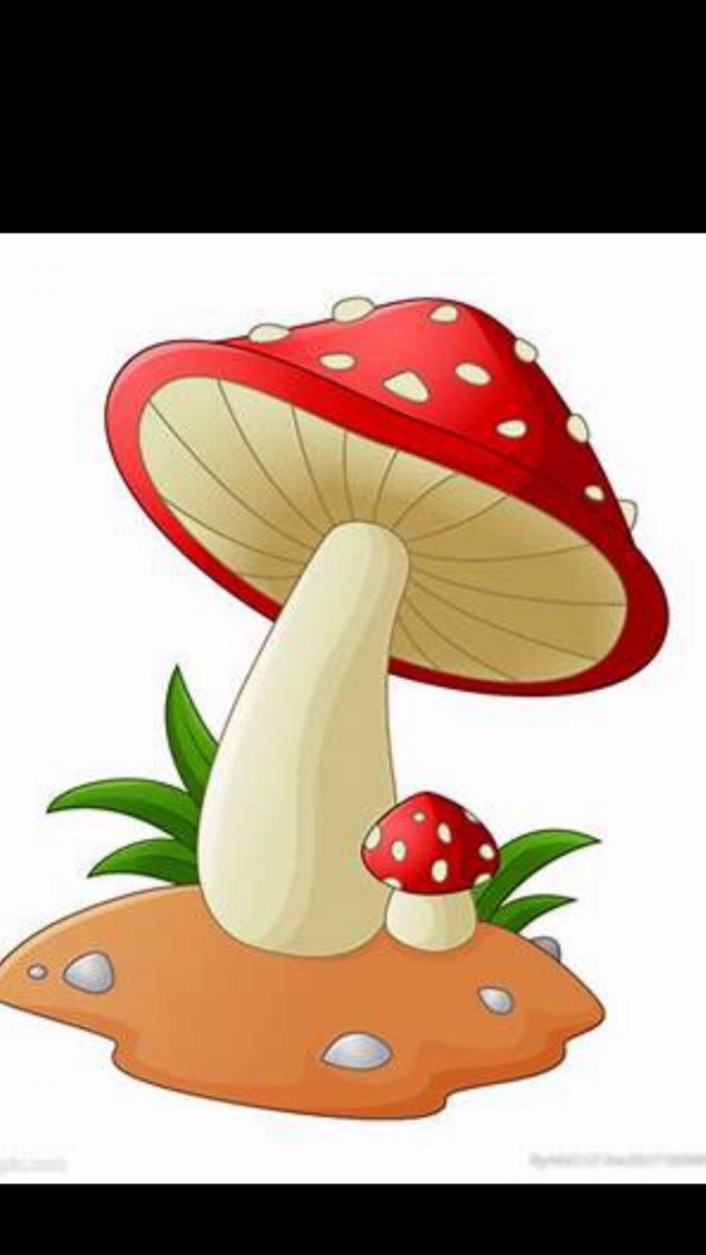 蘑菇日韓生活