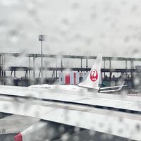 ⌛️韓國限時代購團🇰🇷