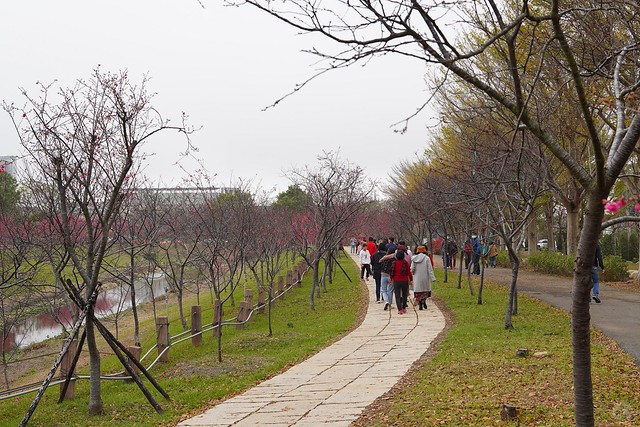 后里崴立機電櫻花公園