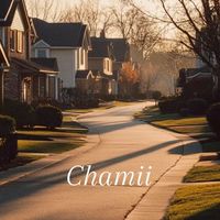 Chamii韓國東大門湊單團