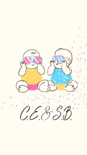 C.E&S.B.