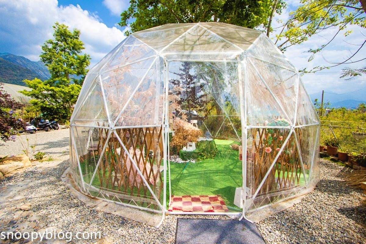 美拍夢幻泡泡屋、藍色星球！南投「免門票祕境」IG暴紅，還能體驗多肉盆栽DIY