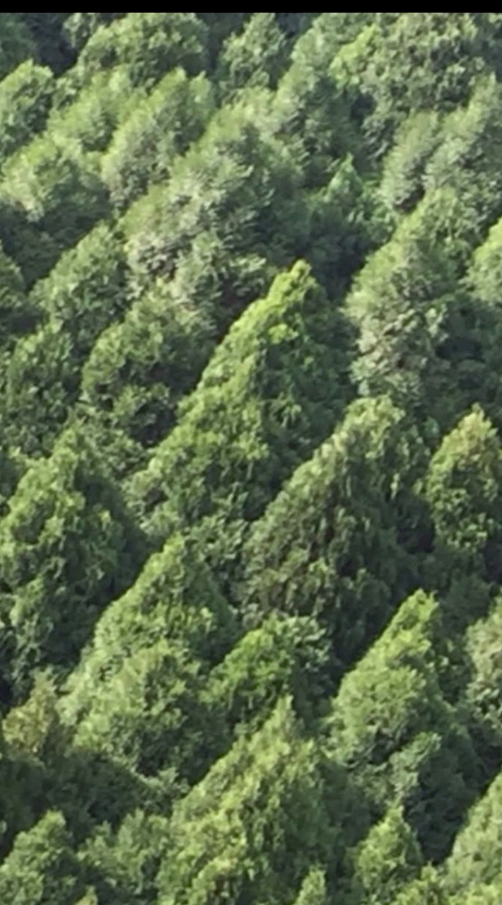 床體驗.台中二館