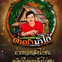 ข่าวสารไก่ชนคนบ้าไก่