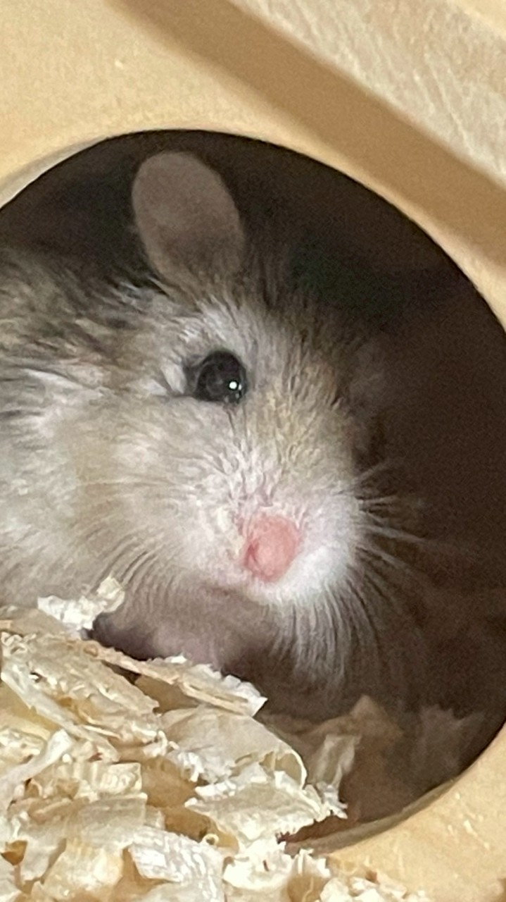 仲介してます！【大手になりたい！】