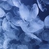 一生愛されると思ってたよ : 全緩也ハント