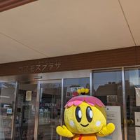 SNS活動団体投稿