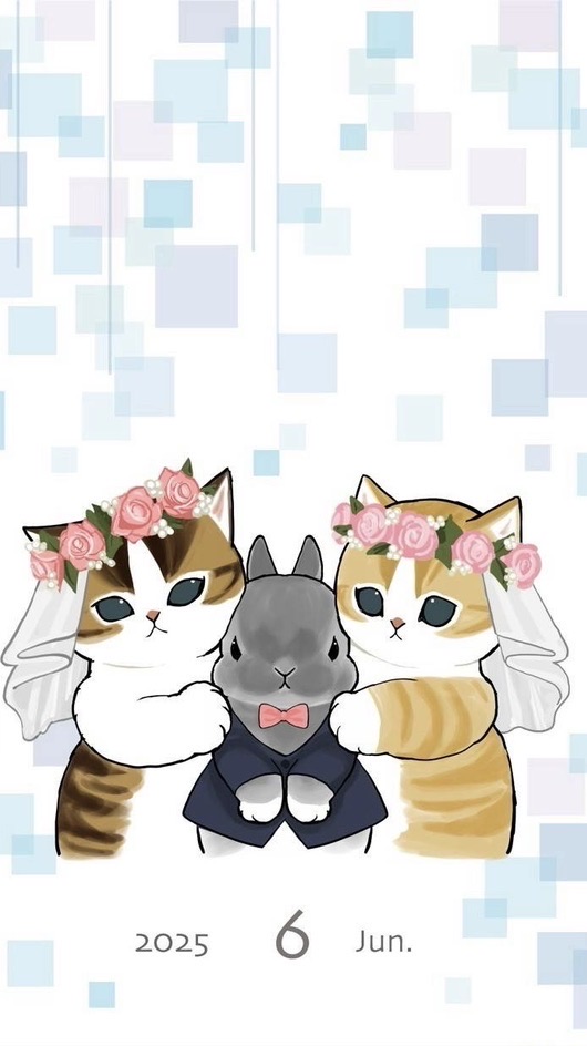 ぢゅのさん推し(mofusand)(サメにゃん)