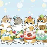 ぢゅのさん推し(mofusand)(サメにゃん)