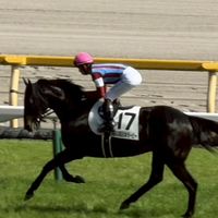 ドラフト制POGチャット26-27