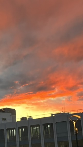 リア充になりたい人！〜女の子、学生限定〜