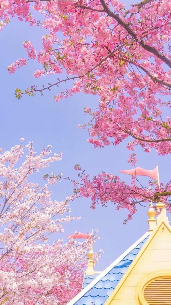 เมือ มีนาคม