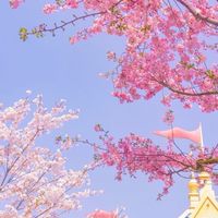 เมือ มีนาคม