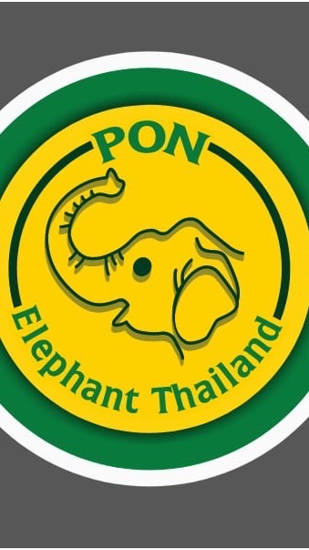 Office PonElephantThailand