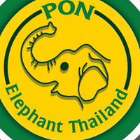 Office PonElephantThailand
